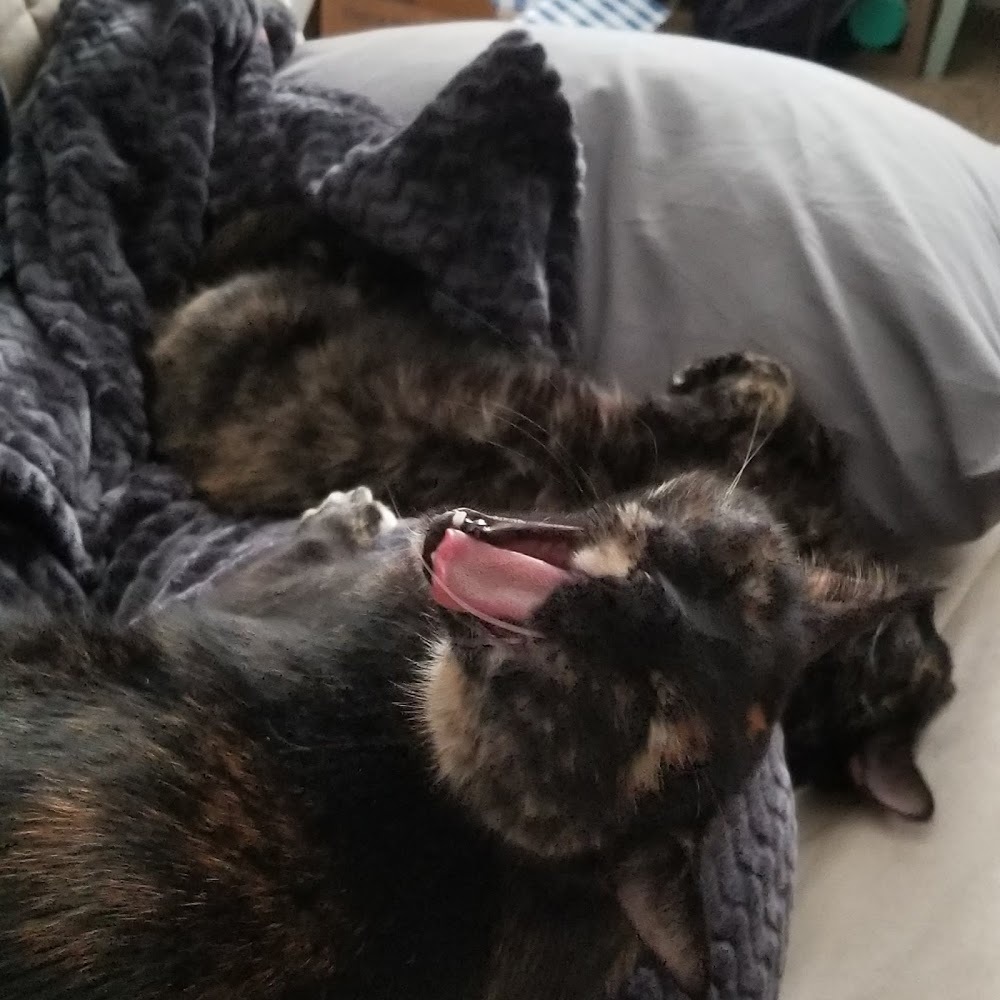 Meet your Posher, Julia